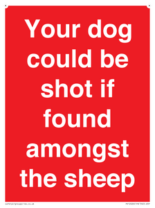 Your dog could be shot if found amongst the sheep